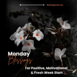 Monday Blessings