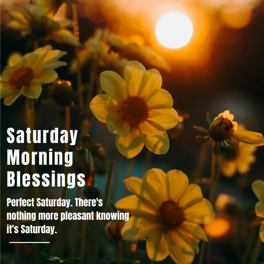 Saturday Morning Blessings