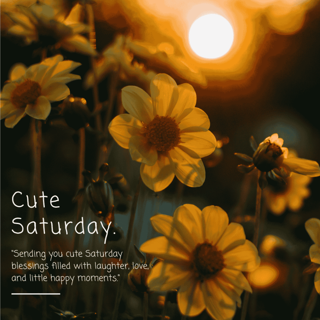 cute saturday blessings