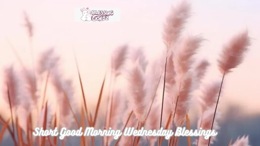 Short Good Morning Wednesday Blessings 