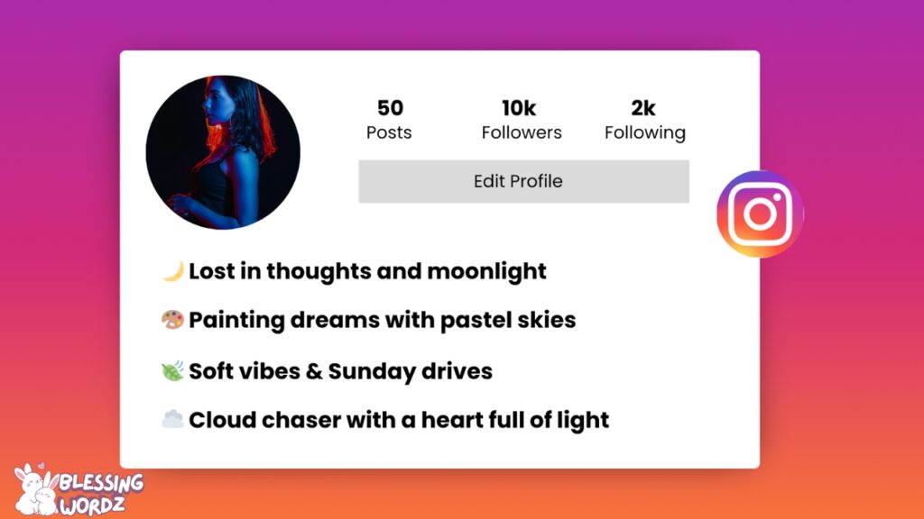 insta bio for girl attitude