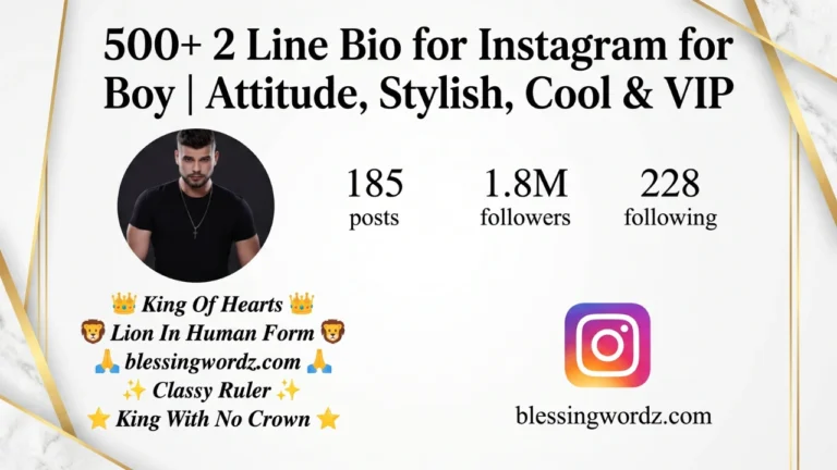 2 line bio for instagram for boy