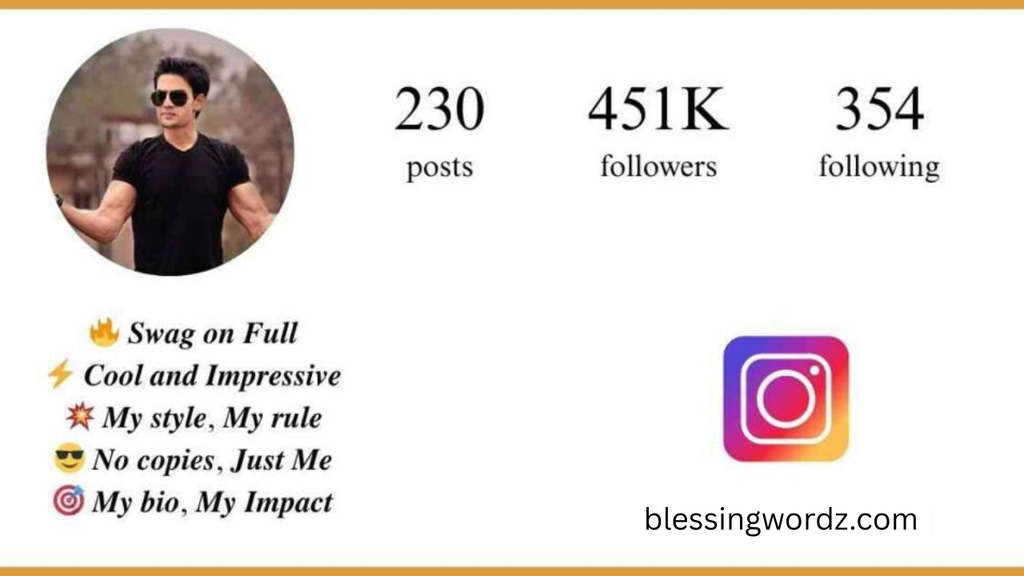 attitude bio for instagram 2 lines